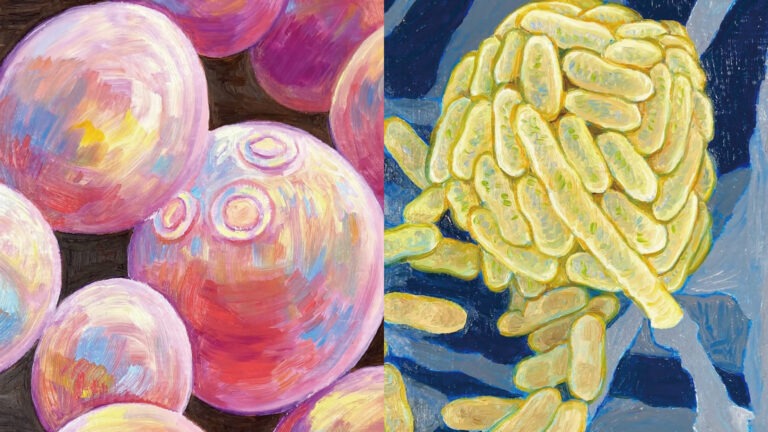 「微の美・微生物展」開催します