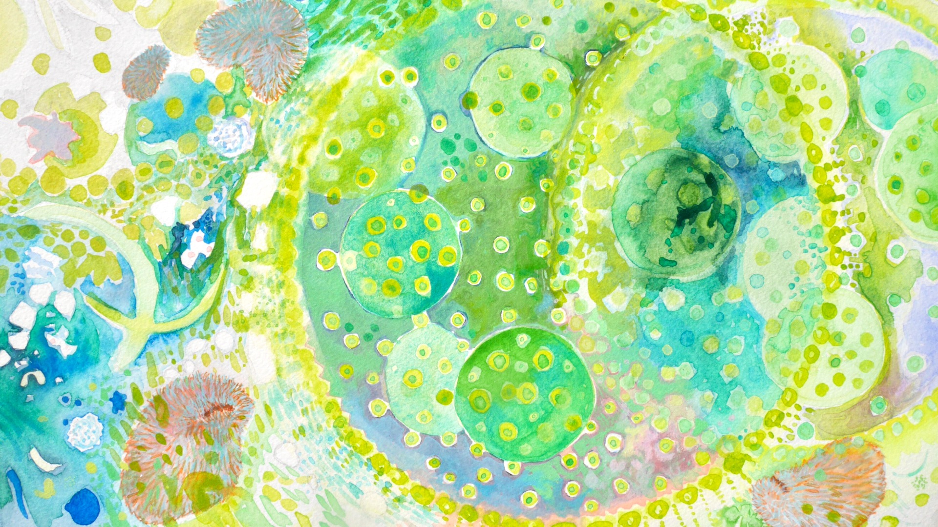 投稿についてもっと詳しく Bi☆生物TEN