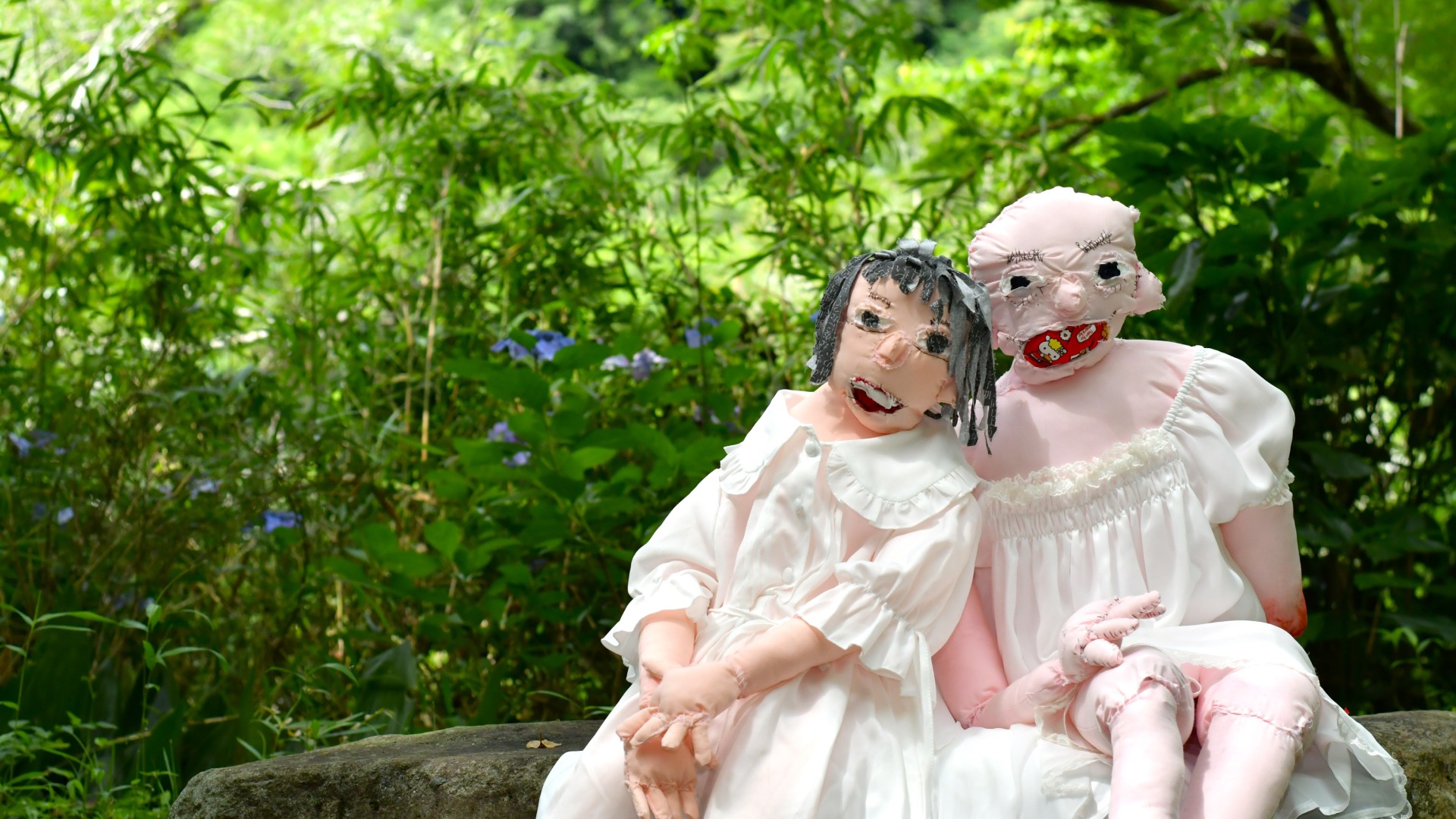 投稿についてもっと詳しく 愚者の植物園