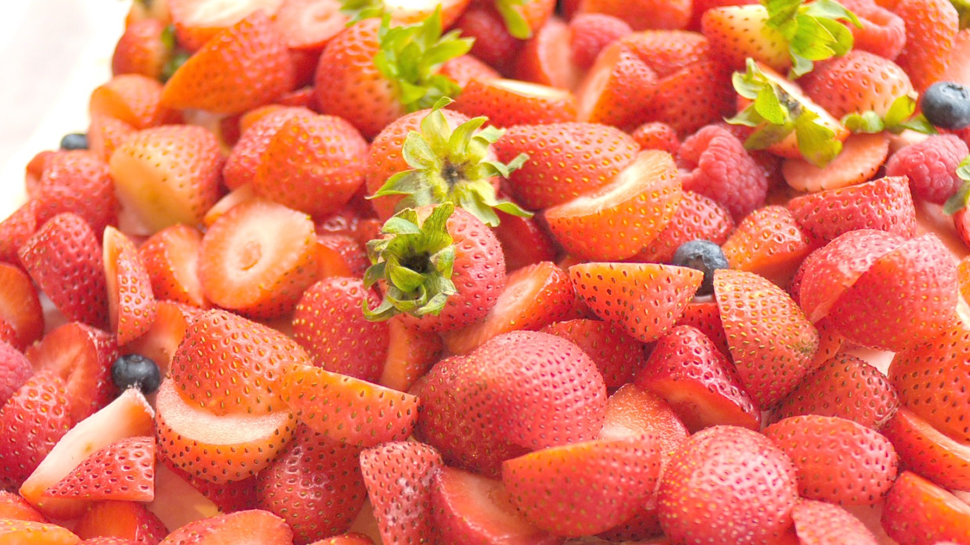 【参加者募集】「苺」の解剖学-あか色をめぐる冒険-