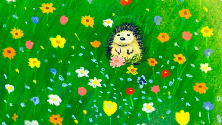 小さな秘密の花園、開園します